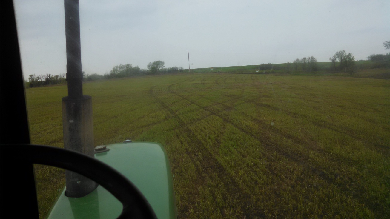 05-04-2015- Drilled in NWSG 2.jpg