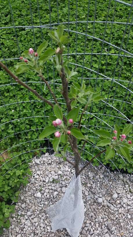 20170426_142733_resized.jpg