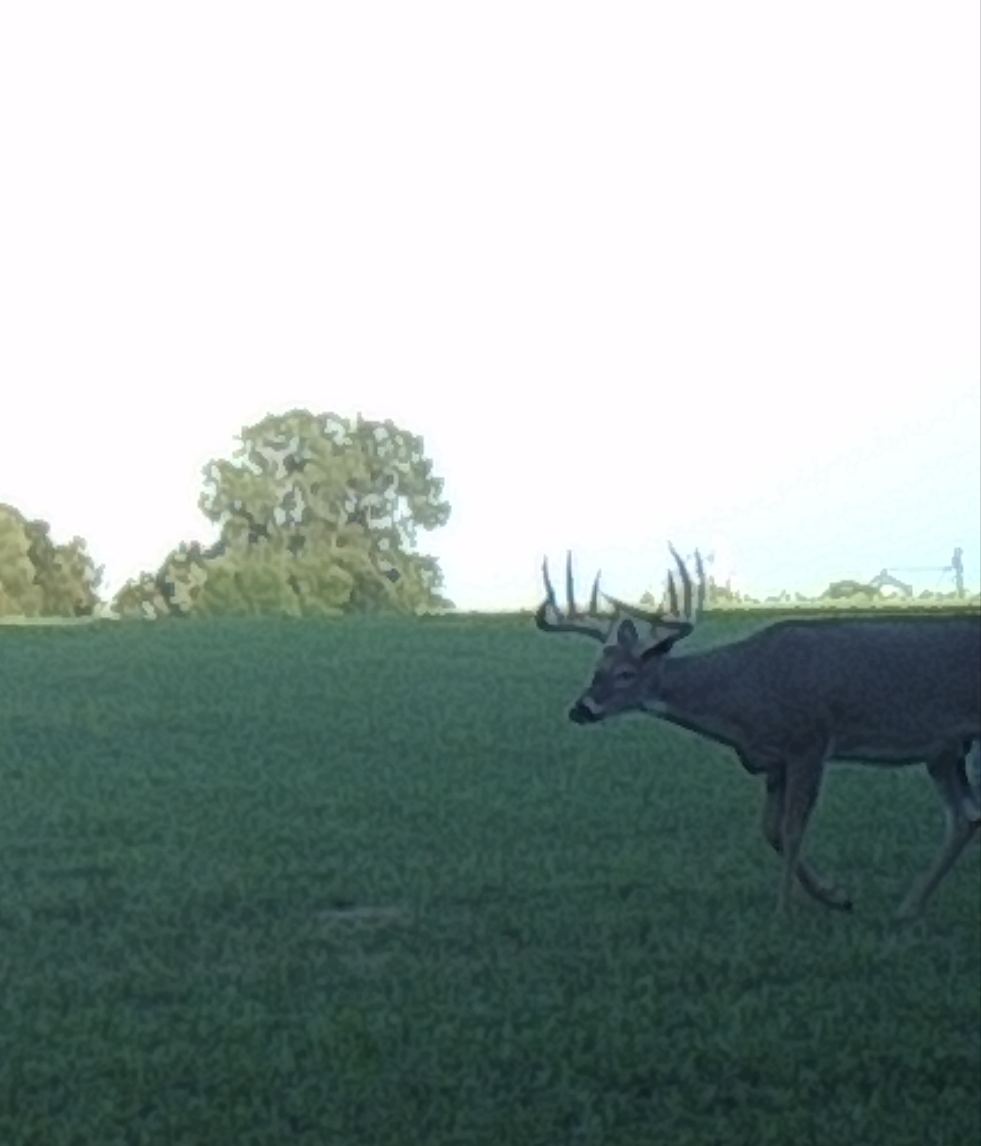 20170910_134610.jpg