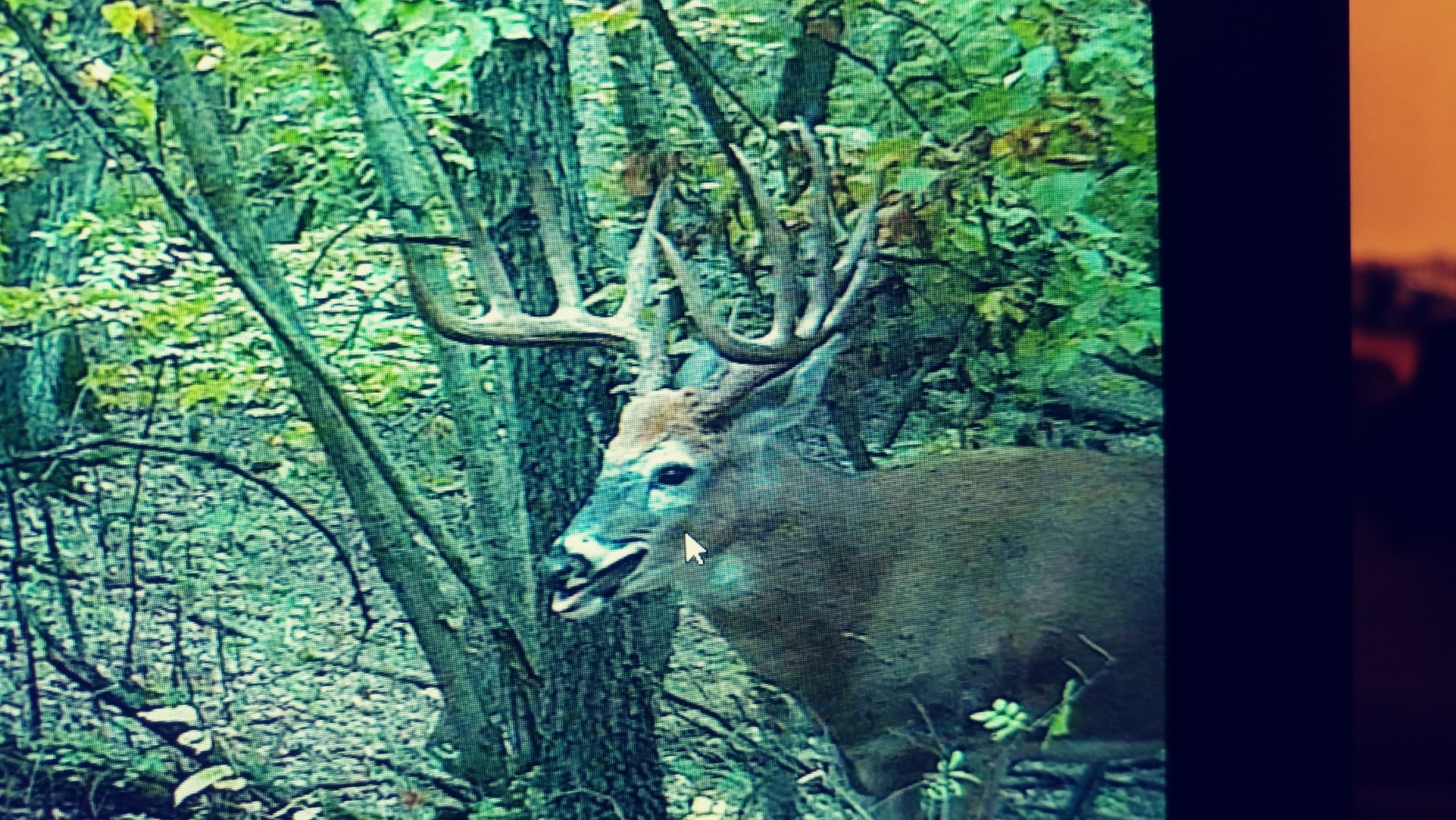 20170924_203705_Film1-1862x1048.jpg