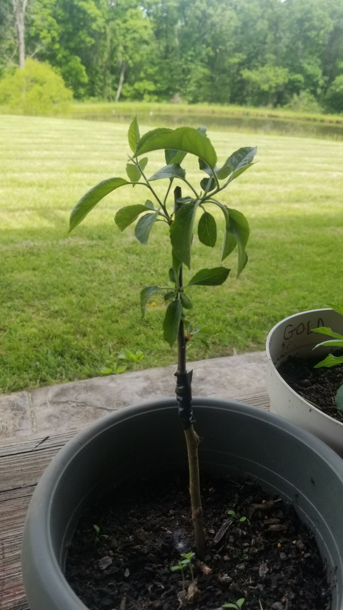 20190517_100658_resized.jpg