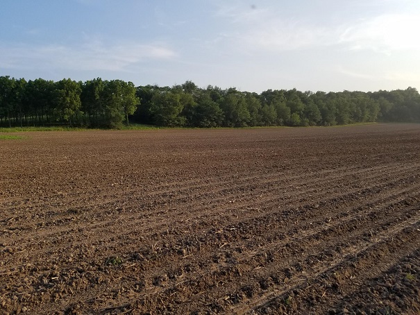 20190708_191734.jpg1.jpg