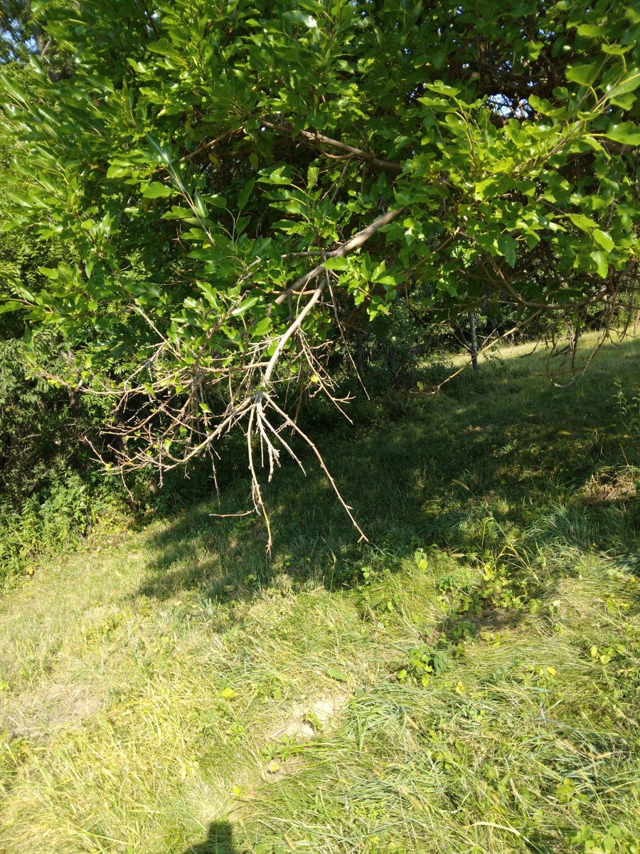 20220909_153402.jpg