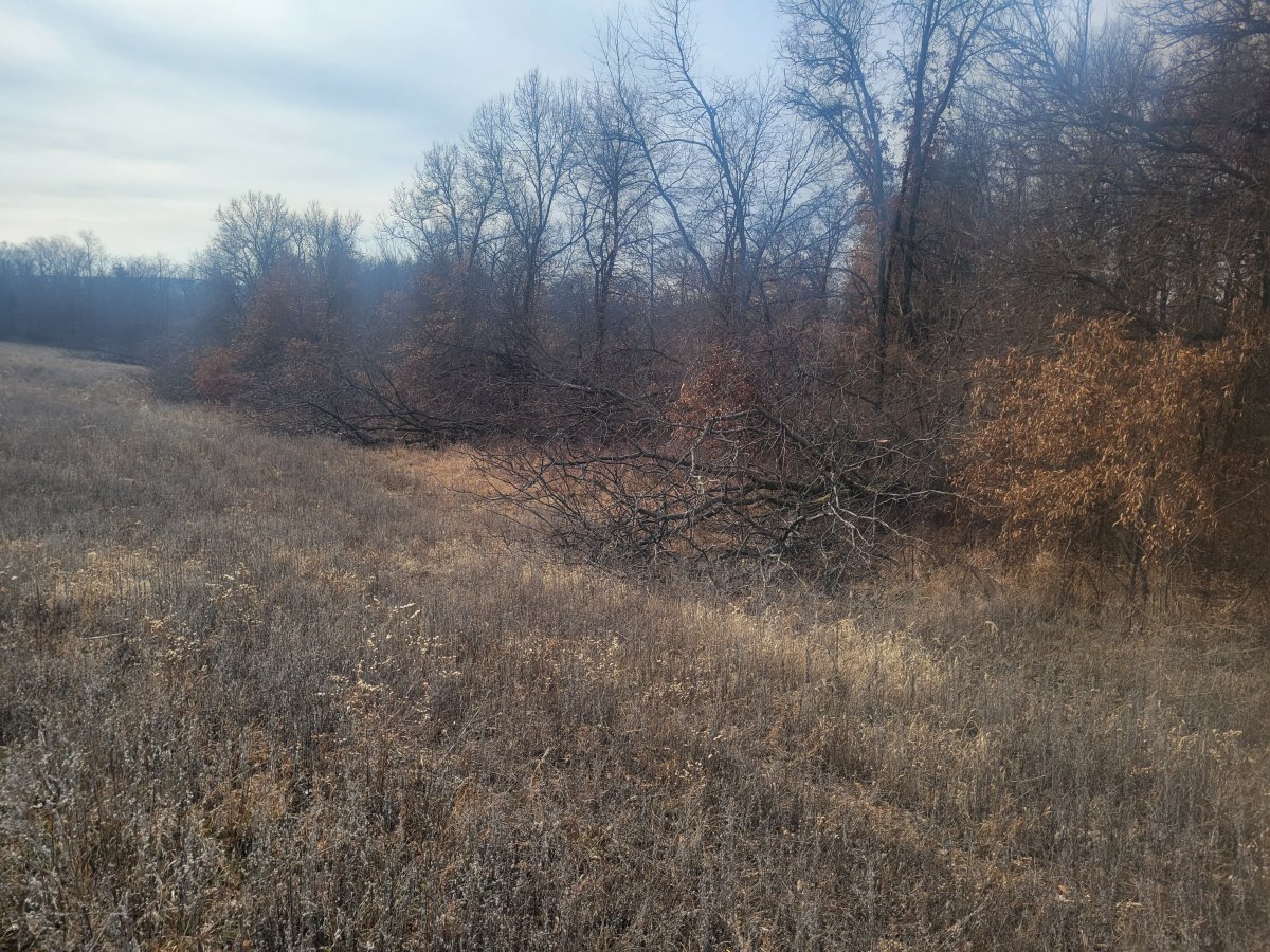 20230114_105740.jpg