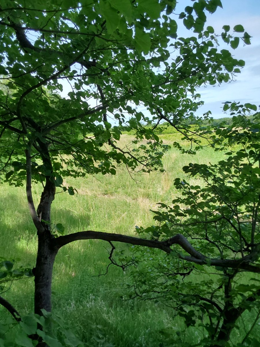 20250614_110339.jpg
