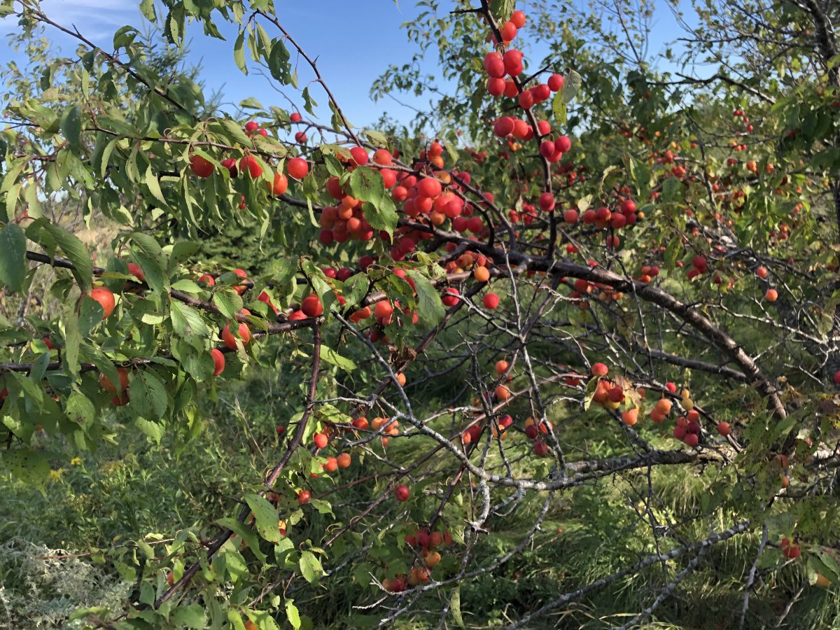 744C6AEA-6348-4E38-AF7D-27AE1ED6F05B.jpeg