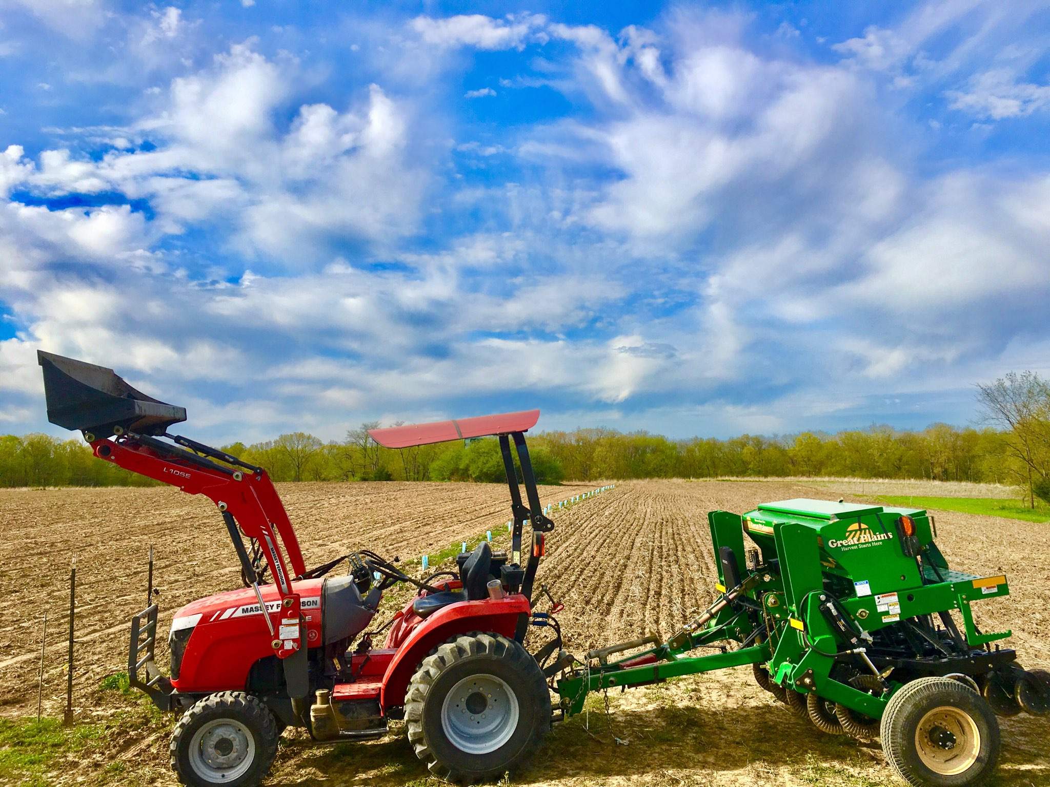 beans planted 2019.jpg