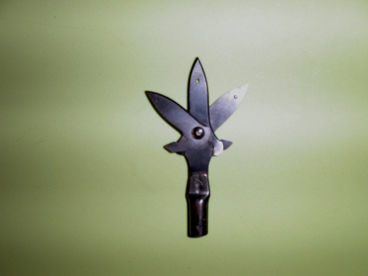 Broad heads & bass 007.jpg