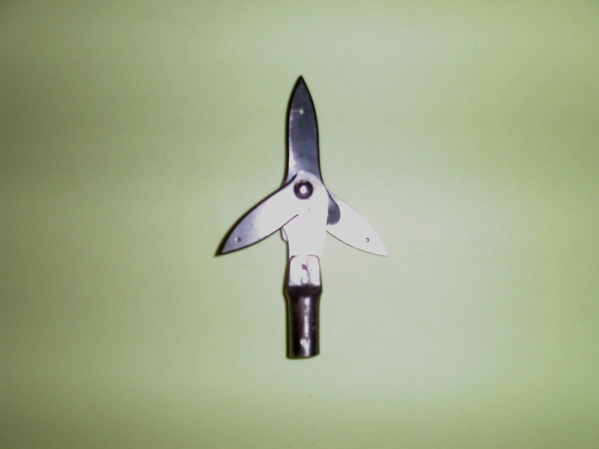Broad heads & bass 010.jpg