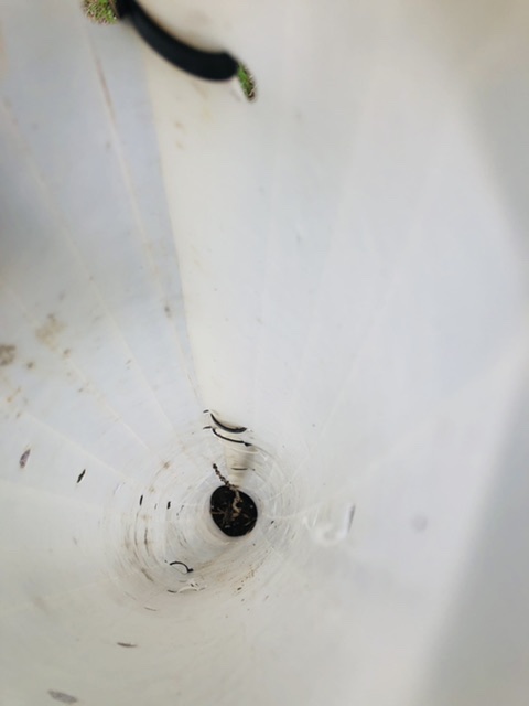 CA983887-5A5A-47A0-B45B-195A8BC5001D.jpeg