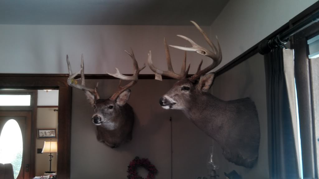 Dad's bucks 2.jpg