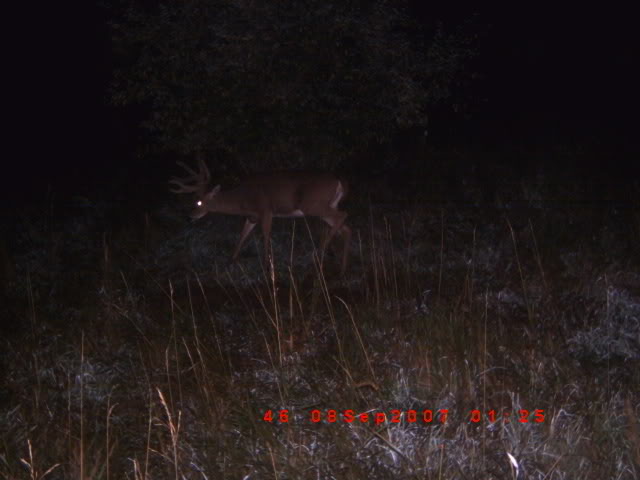 Dad's lake buck.jpg