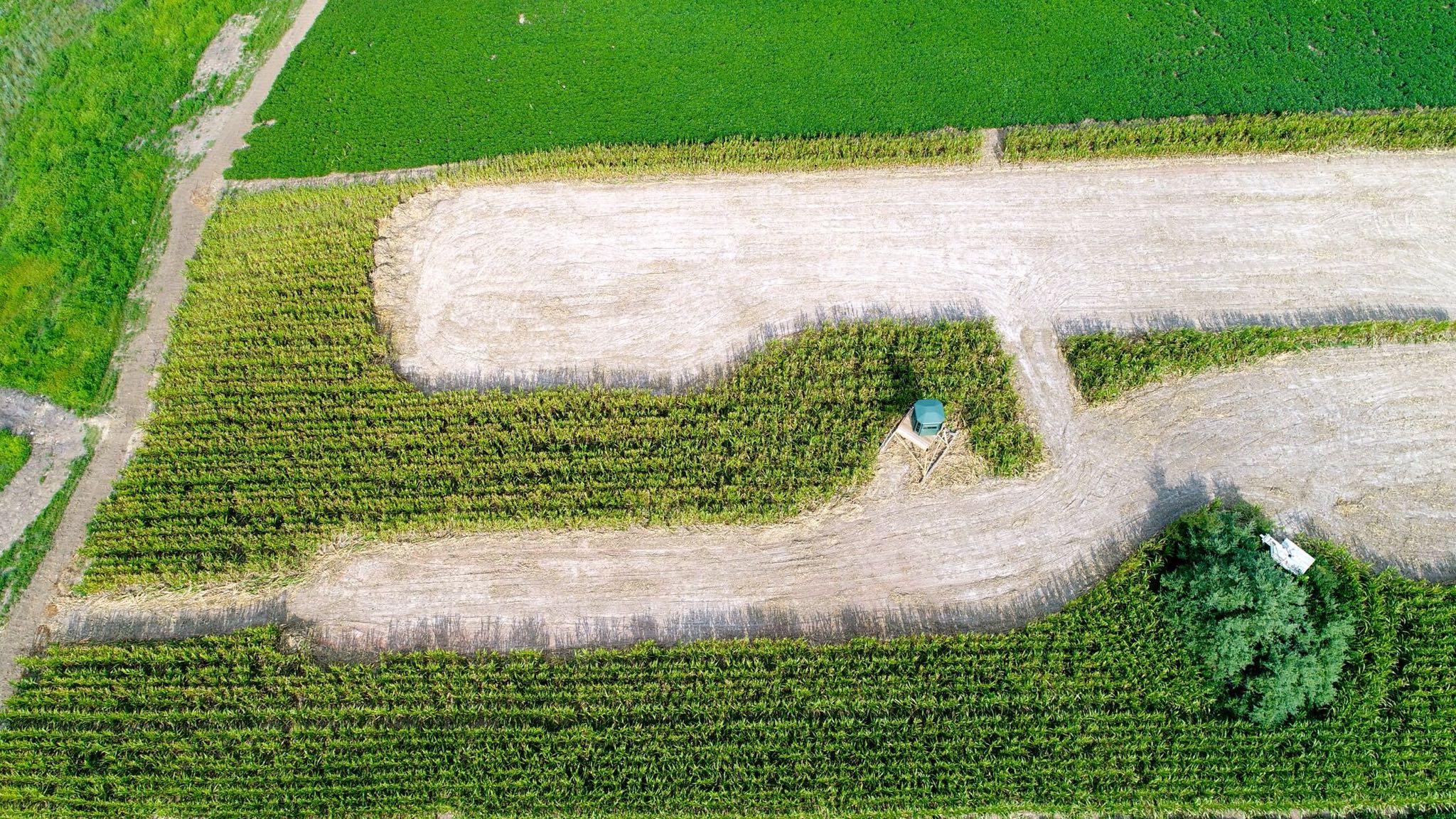 DJI_0032.JPG