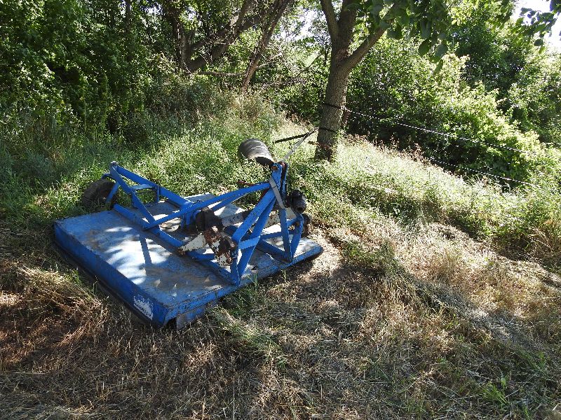 DSCN1782.jpg