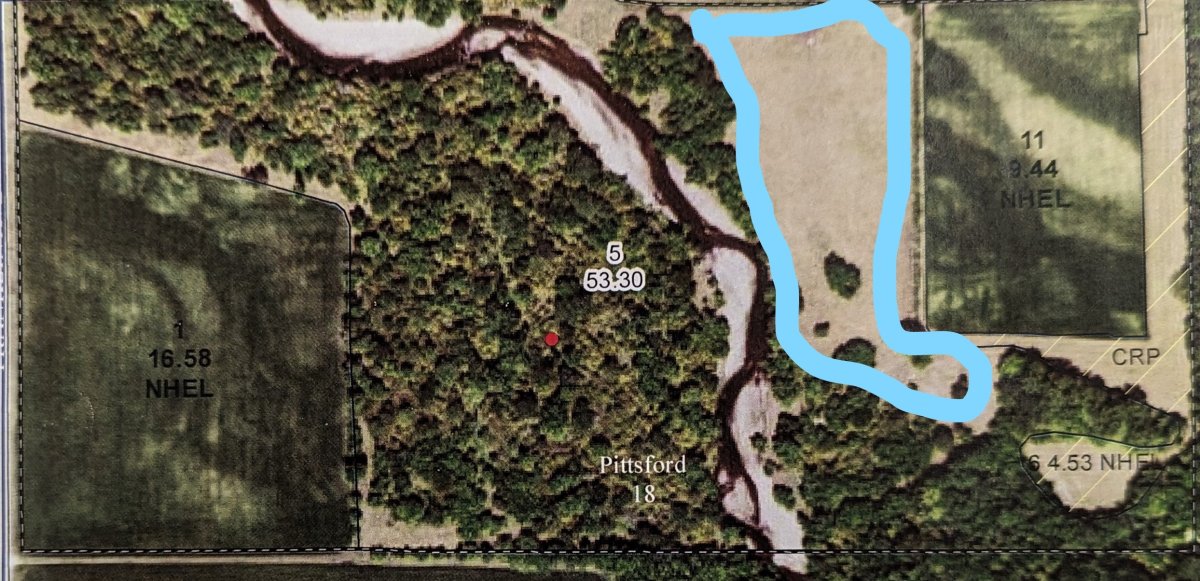farm.jpg