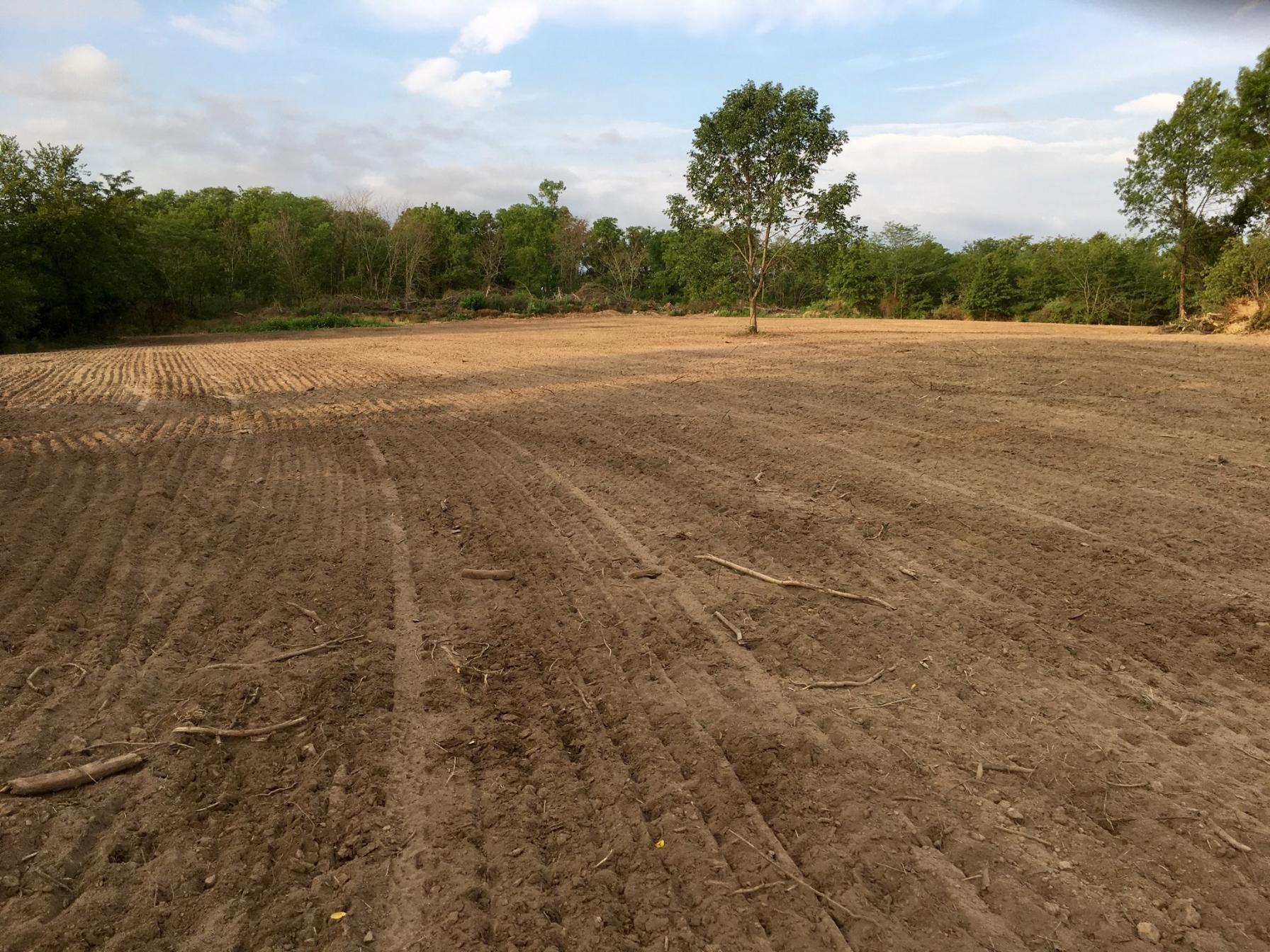 fertilizer down.jpg