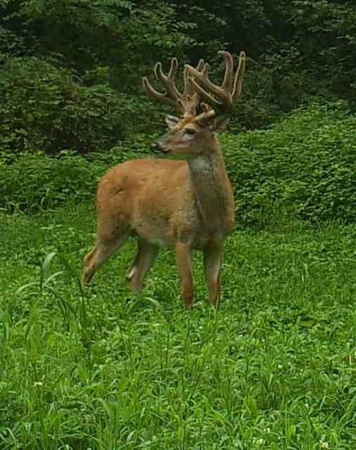 IMG951412.jpg