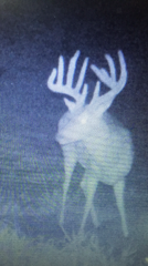 IMG957622.png