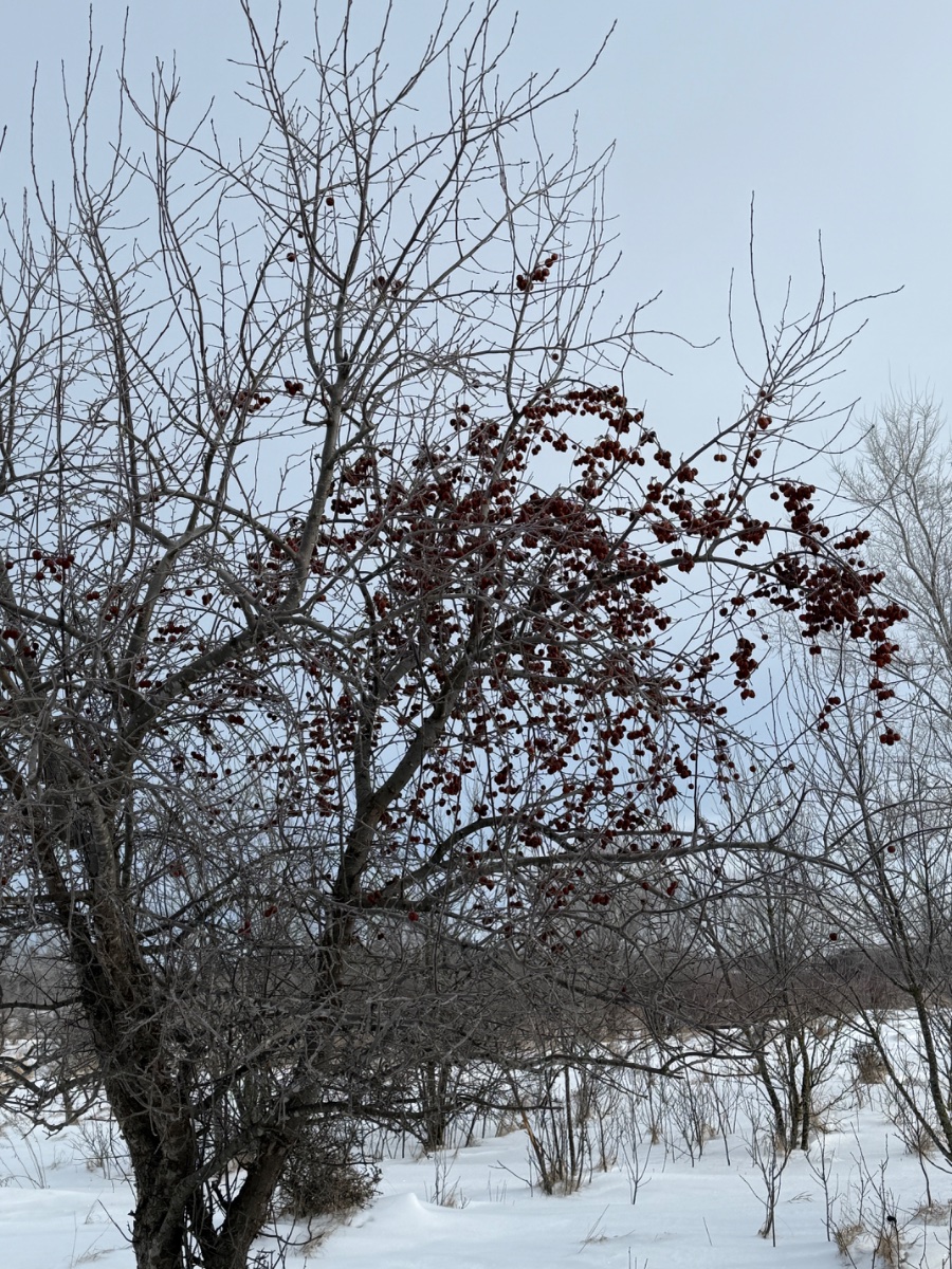 IMG_0216.jpeg