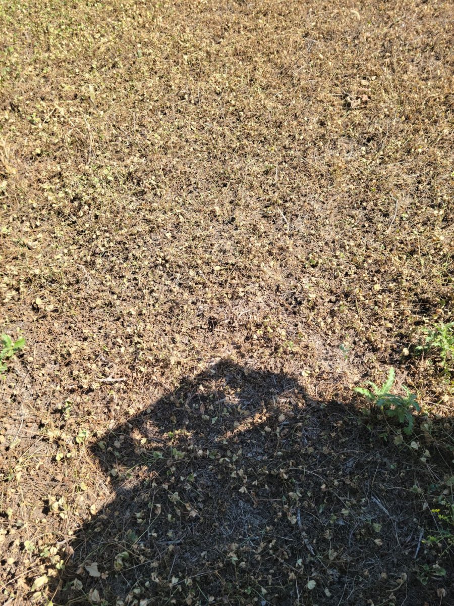 IMG_20230907_064900.jpg
