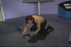 IMG_7359.gif