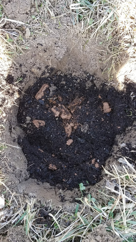 In Hole.jpg