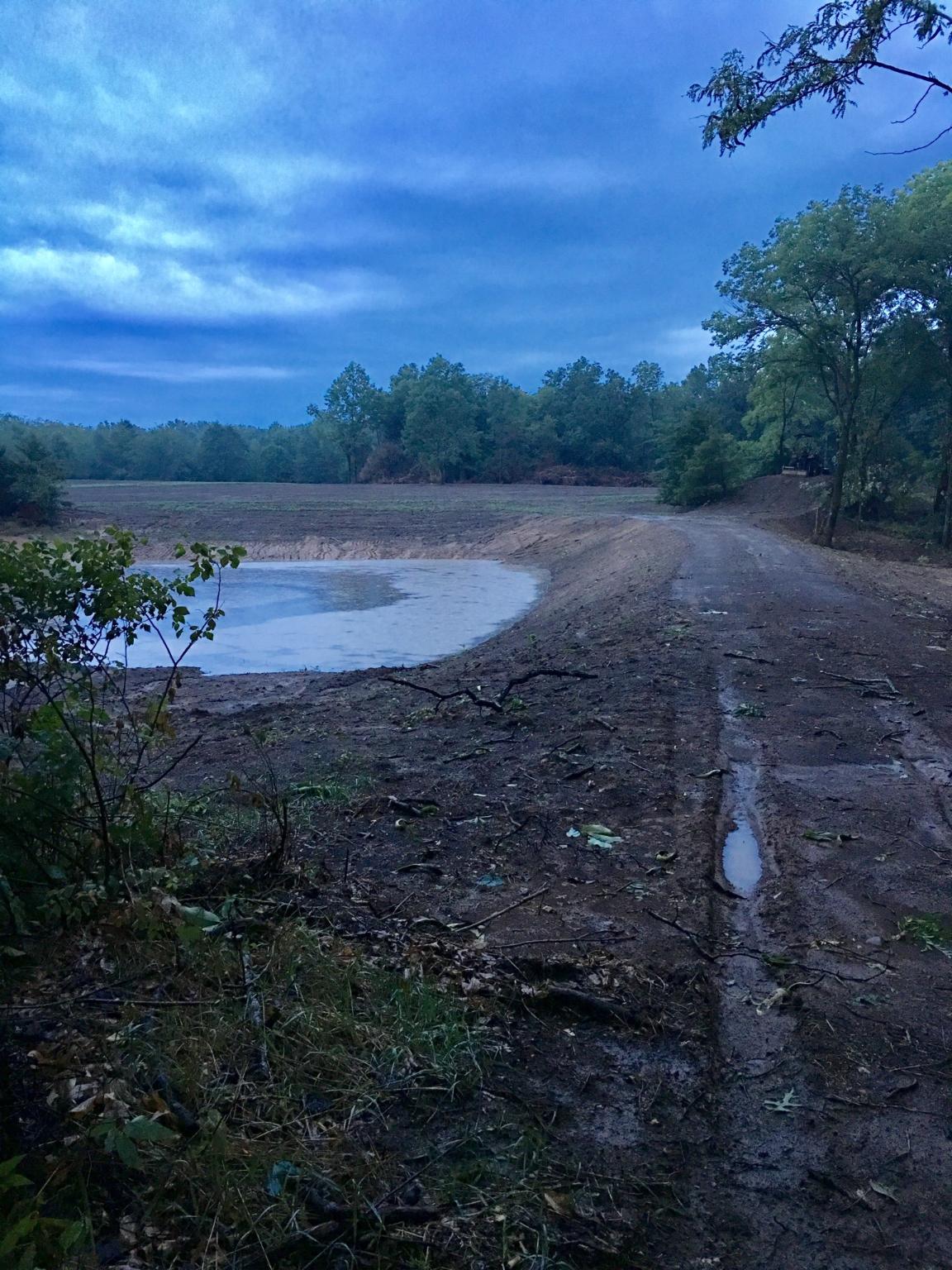 pond 8-7-2018.jpg