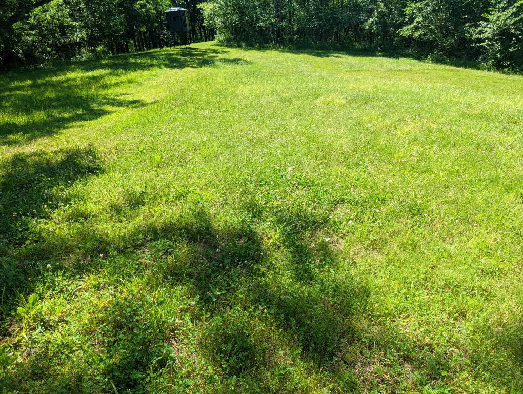 PXL_20220620_160847309.jpg