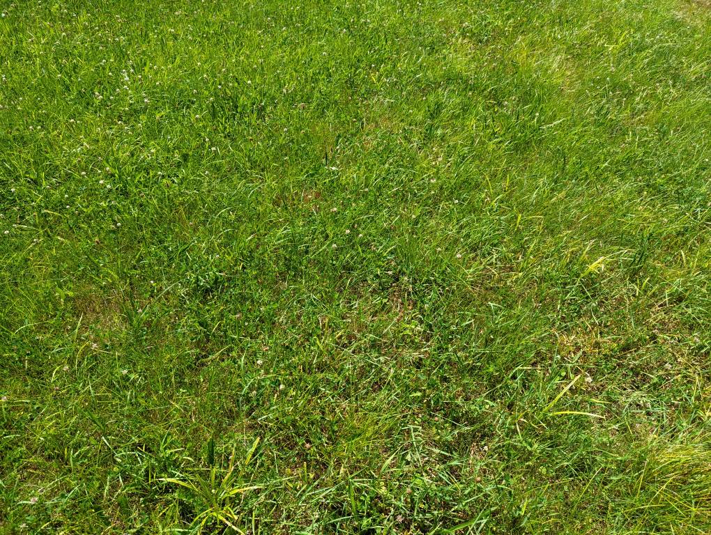 PXL_20220620_160902966.jpg