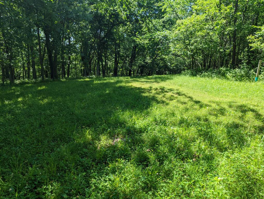PXL_20220620_160935148.jpg
