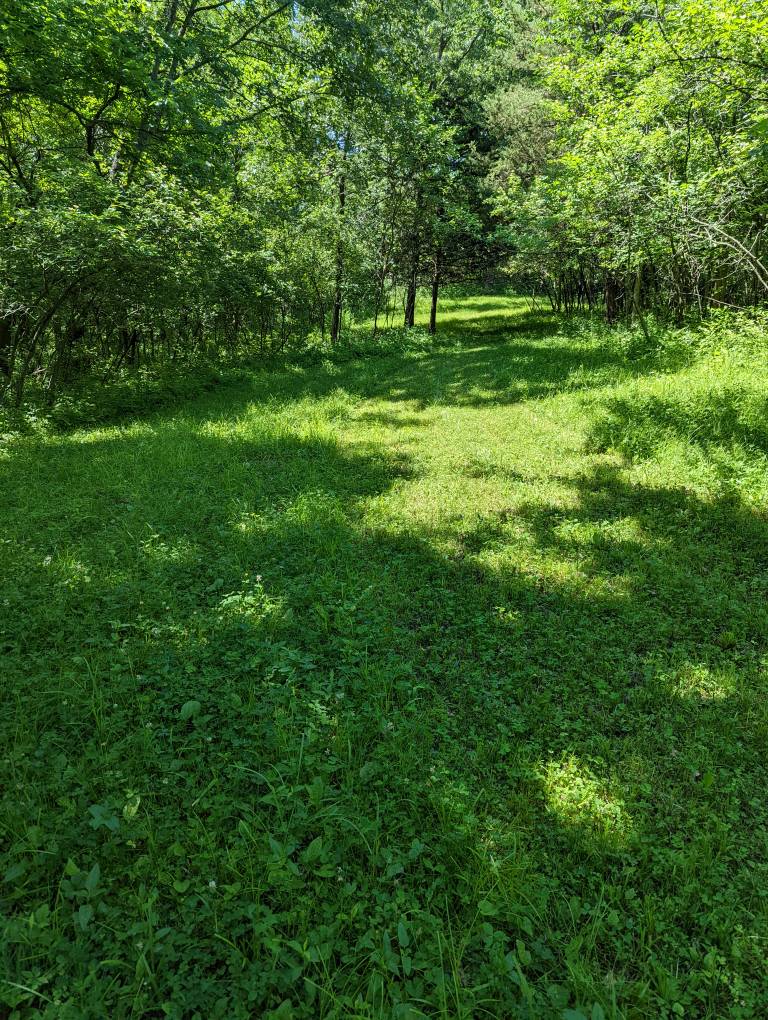 PXL_20220620_161000582.jpg