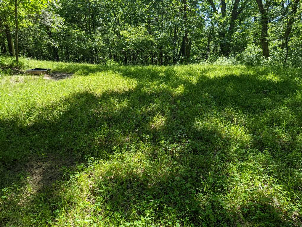 PXL_20220620_161050790.jpg