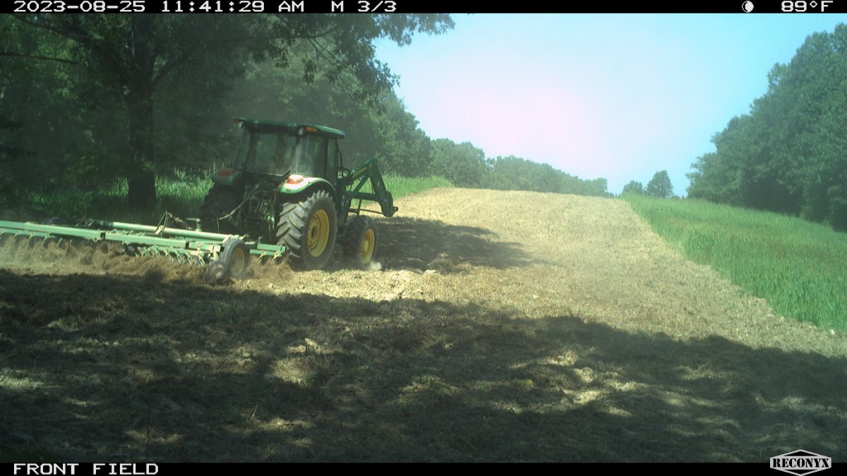 RCNX0547.JPG