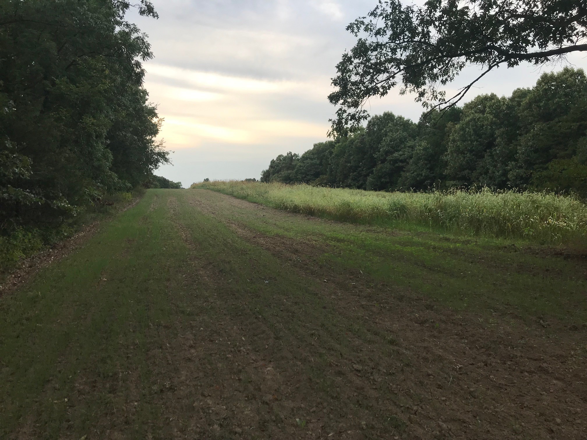 Road Edge progress 9-02.jpg