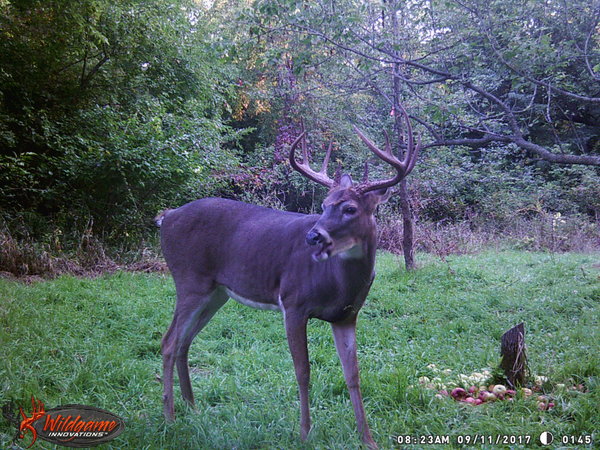 rsz_wgi_0145.jpg
