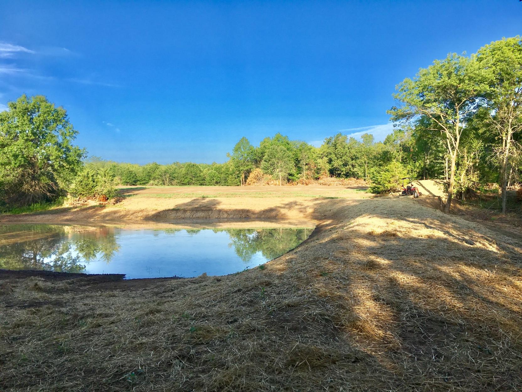 straw on pond.jpg