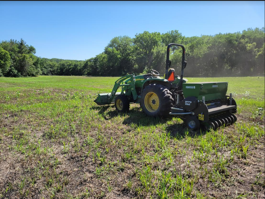 Switchgrass 1.png