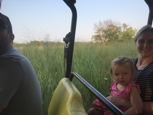 Switchgrass in summer driving next to it.jpg