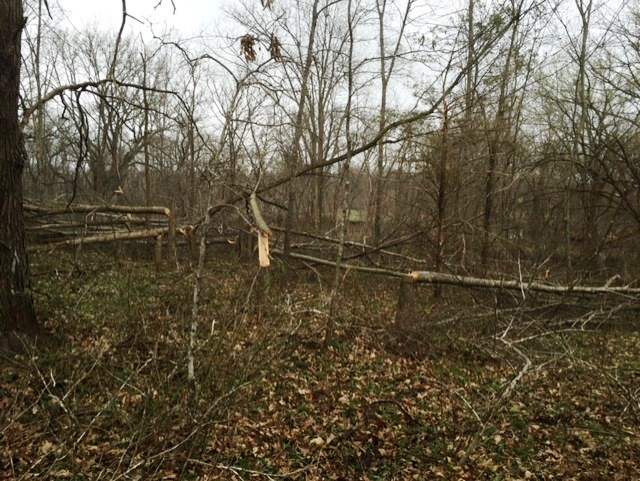 TSI, trail blocking and hinging.jpg