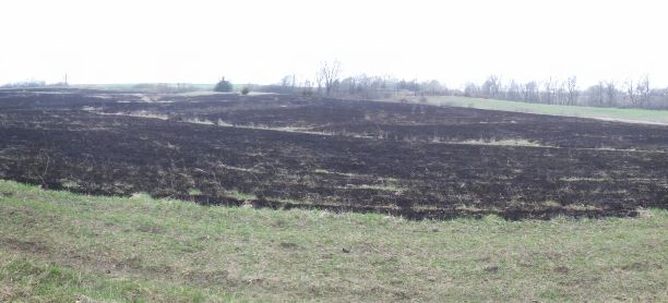 04 08 2015  Burned