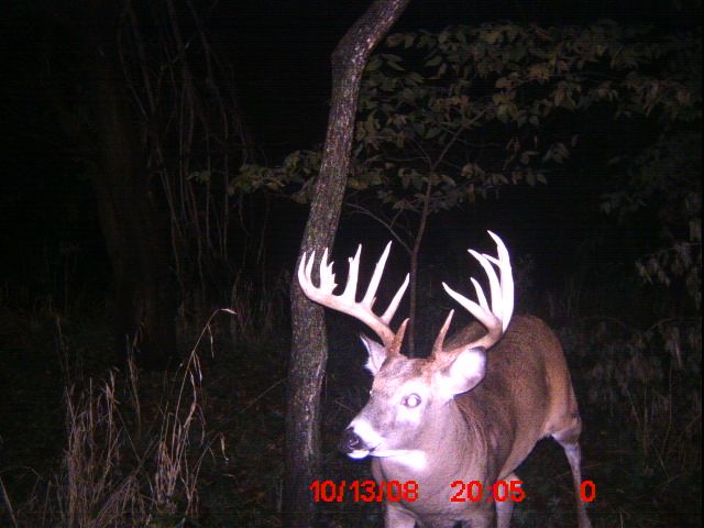 08 Trail Cam