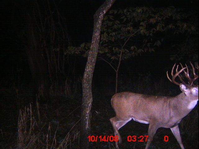 08 Trail Cam