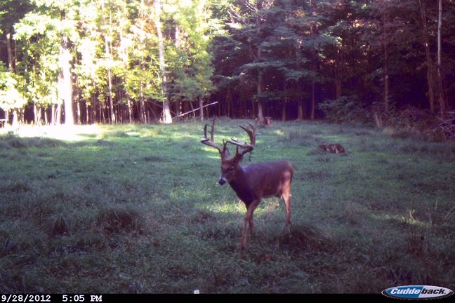 09 28 12 buck[1]