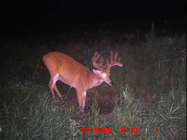 09 Trail Cam Pic