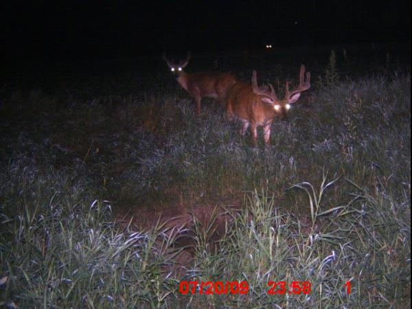 09 Trail Cam Pic