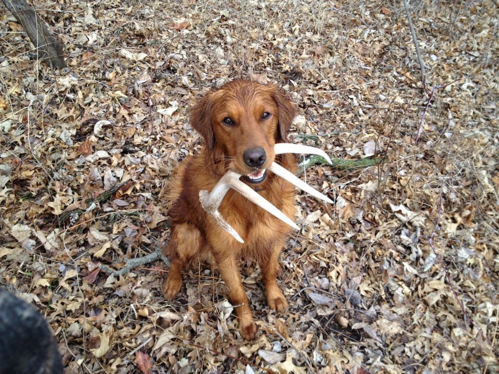 10192-nash S First Shed Resized