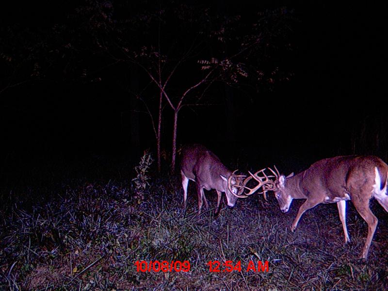 10541.jpg