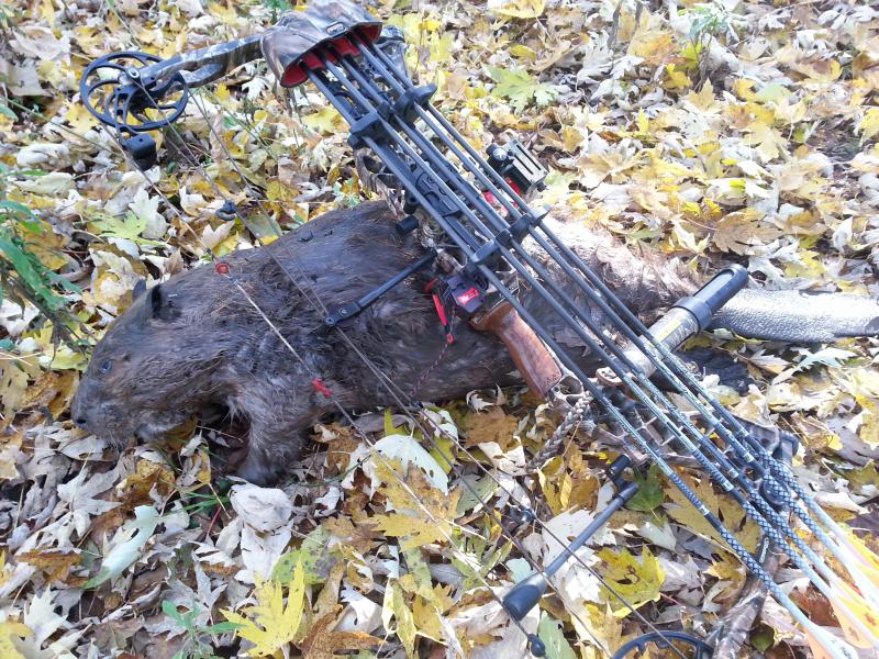 11-3-2013 bowkill