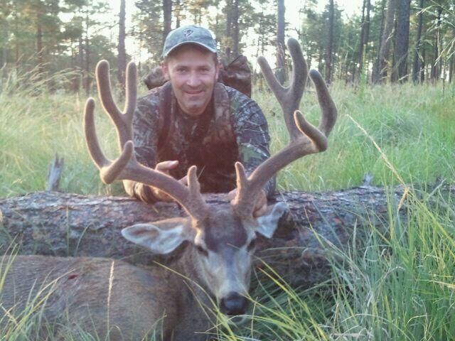 11 Mule Deer