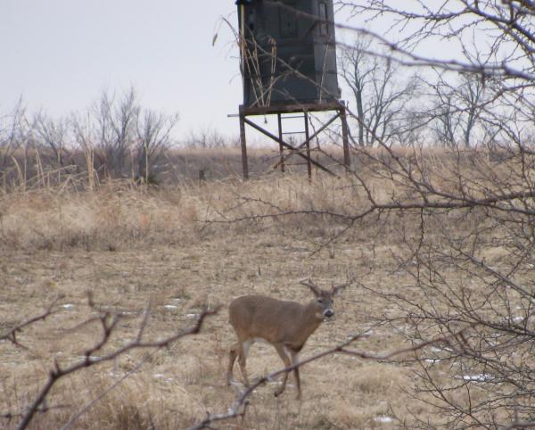 11pt02